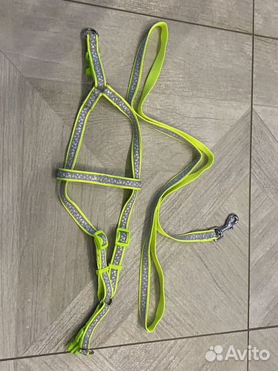 Шлейка, поводок для кота или собаки