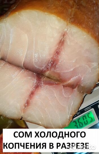 Сом холодного копчения/Доставка из Астрахани