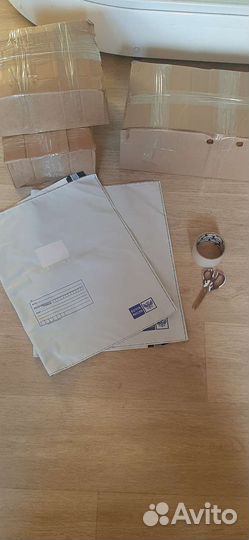 Чумизы колоски