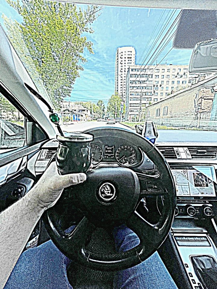 Skoda Octavia: фото владельца