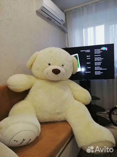Плюшевый медведь