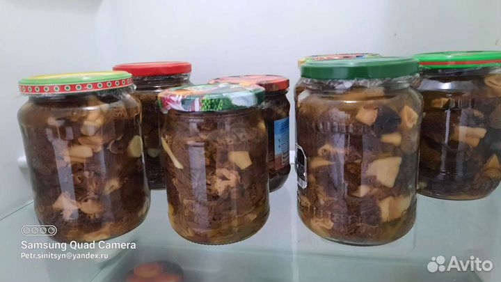 Грибы сморчки и строчки под заказ