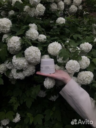 Соевые свечи в гипсе с деревянным фитилем