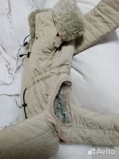 Комбинезон для маленькой собаки мальчик