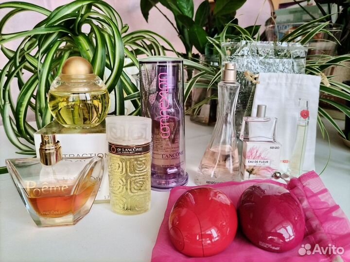 YSL, D&G, Kenzo, Lancome, Clinique, Lacoste