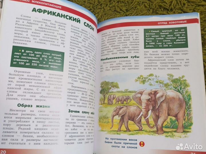 Детская энциклопедия Животные