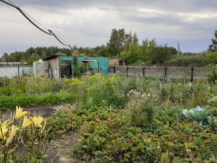 Дача 20 м² на участке 5 сот.