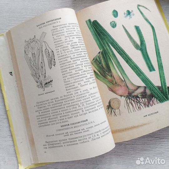 Книги Лекарственные растения