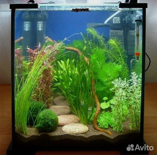 Обслуживание аквариумов