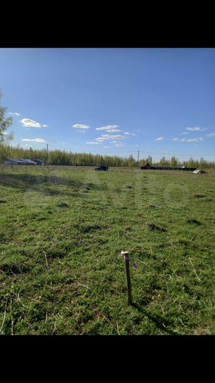 Участок 15 сот. (ИЖС)