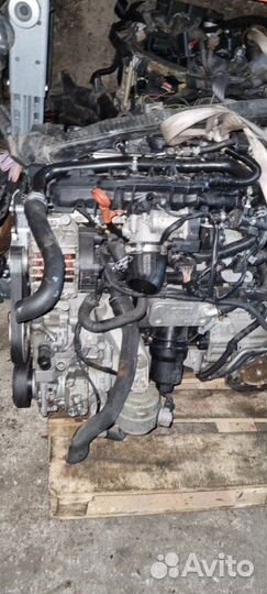 Двигатель Audi A4 B7 BWE