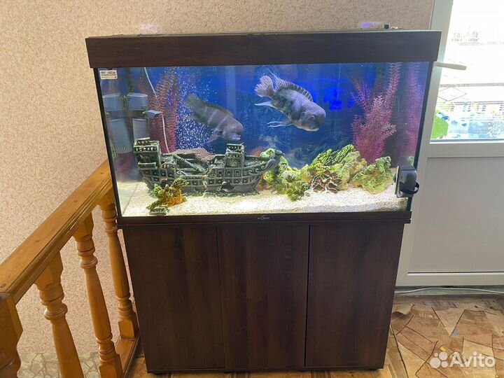 Аквариум с тумбой и всеми принадлежнастями