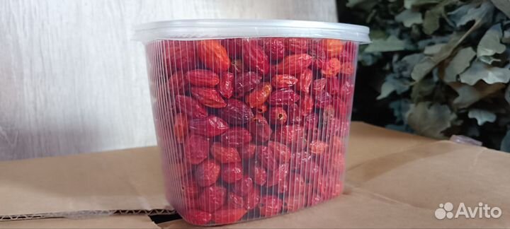 Шиповник Лесной