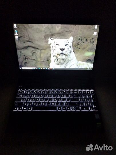 HP на стиле GTX 1660 Ti + core i5-9300H