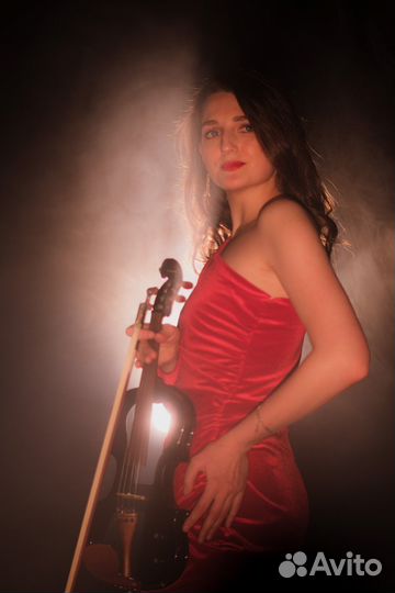 Скрипка, музыкант, живая музыка