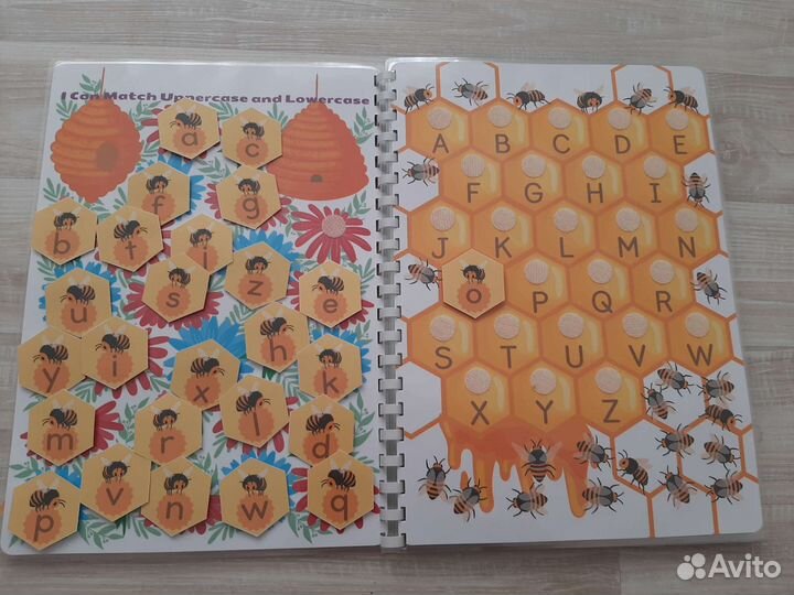 Лэпбук на английском