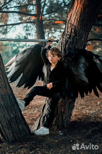 Крылья, рога, меч (аренда)