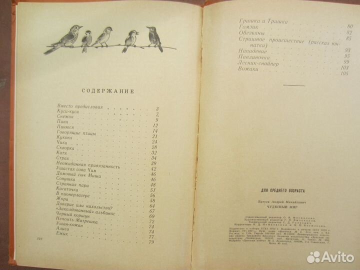 Серия Литературные памятники. Л.Н. Толстой Анна Ка