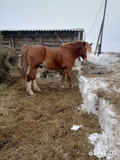 Советский тяжеловоз