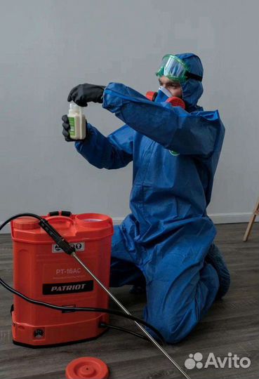 Дезинсекция