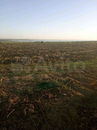 Участок 1,4 га (ИЖС)