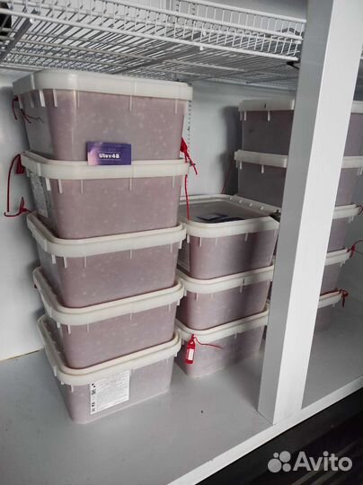 Красная Икра