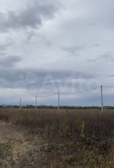 Участок 6 сот. (СНТ, ДНП)
