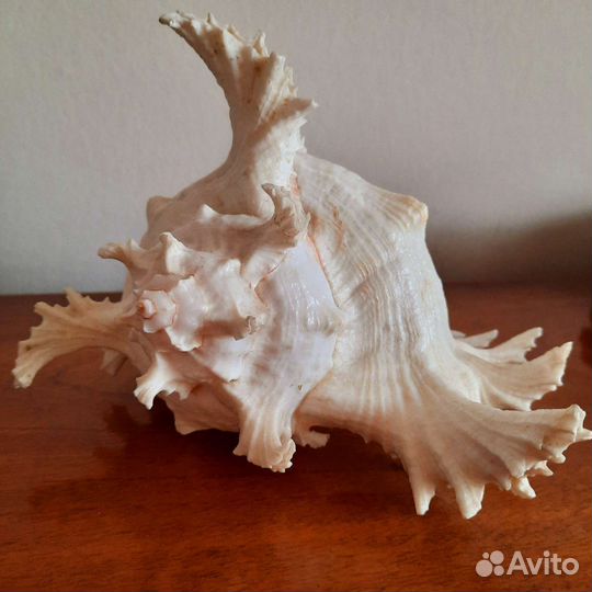 Декор для дома