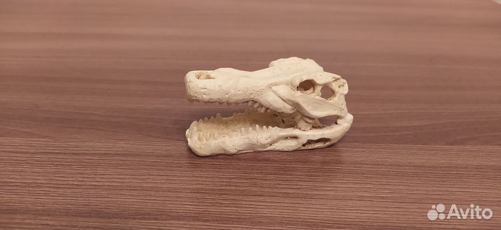 Украшения для аквариума