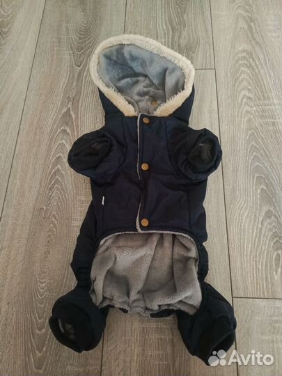 Курточка для собаки и шлейка