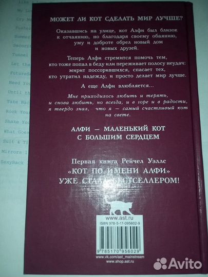 Новые книги про кошек