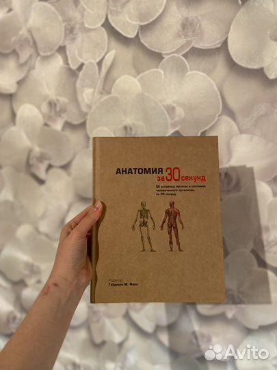 Анатомия за 30 секунд