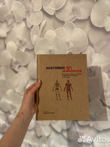 Анатомия за 30 секунд