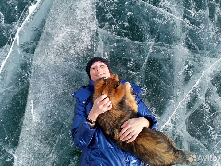 Догситтер. Няня для питомца. Выгул. Передержка