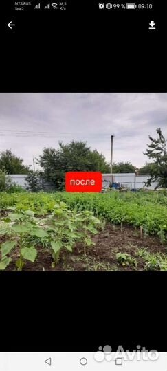 Уборка дачных участков
