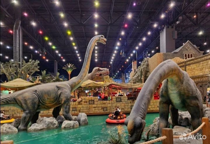 Билеты в парк 