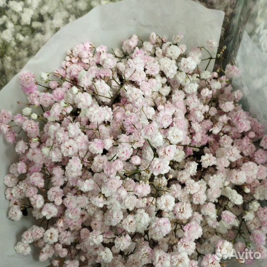 Цветы розы с доставкой