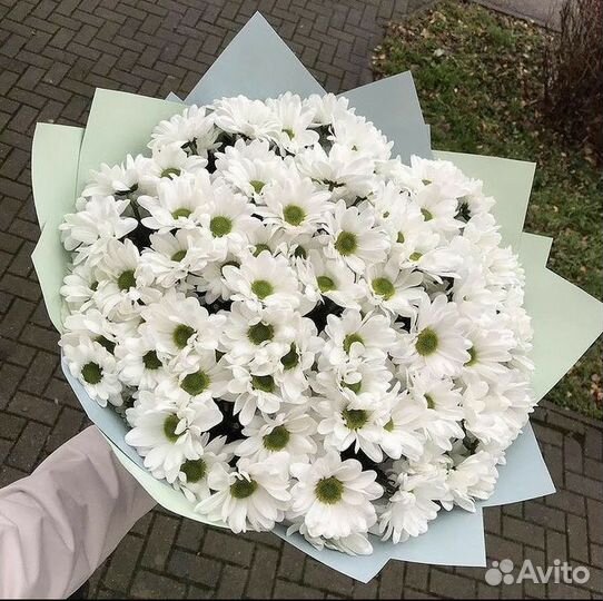 Букет из ромашковых хризантем