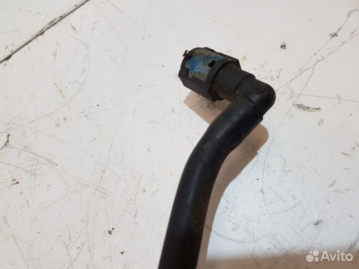 Трубка топливная (Subaru Outback)