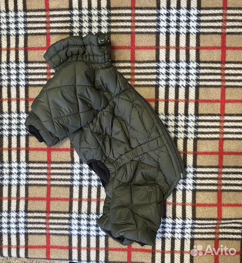 Комбинезон (зимний, весенний) для шпица (кобель)