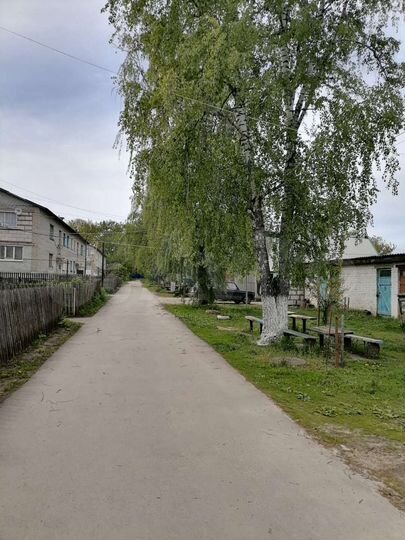 2-к. квартира, 51,2 м², 1/2 эт.