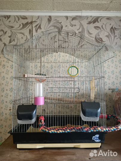 Клетка для попугая