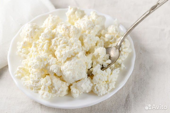 Коровье молоко, творог, сметана