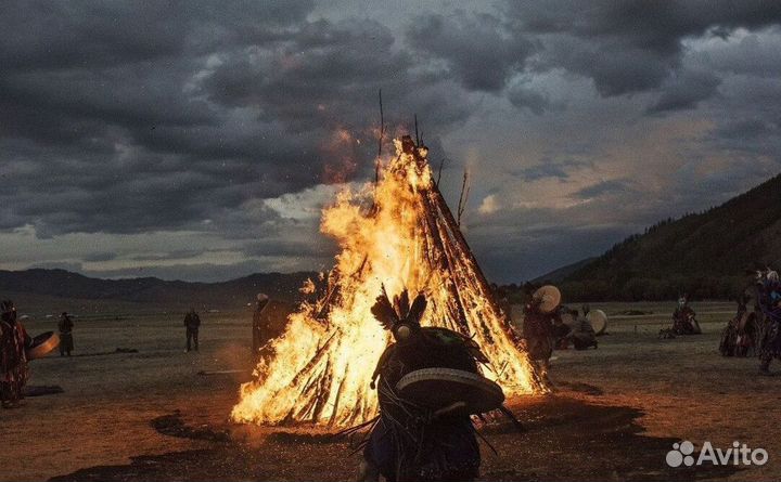 Чай пуэр « На замену пива » шмн12225