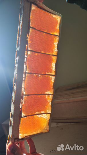 Натуральный мёд в сотах минирамки 2024 (оптом)