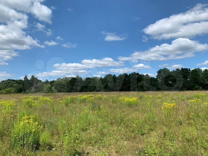 Участок 100 сот. (ИЖС)