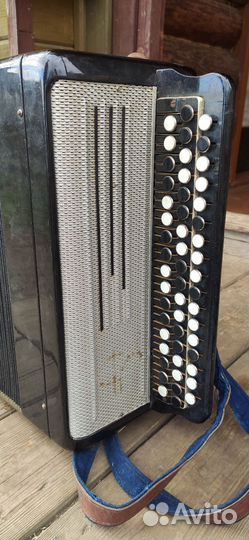 Баян тульский