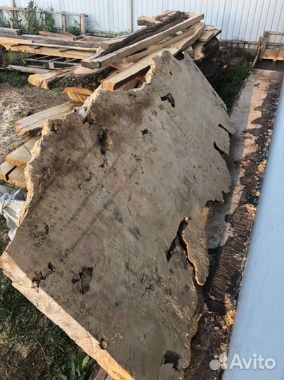 Слэб тополя