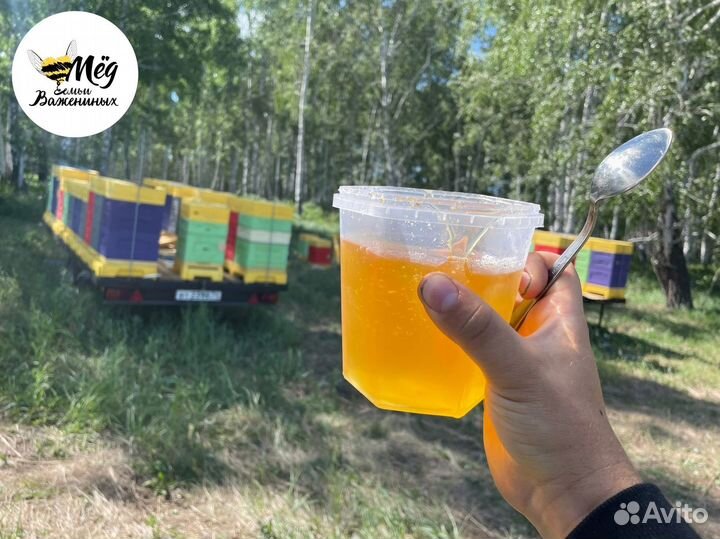 Мед свежий натуральный. Собственное производство