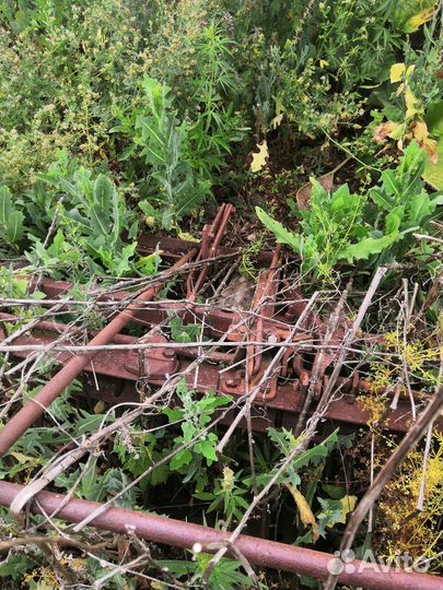 Согребалка конная